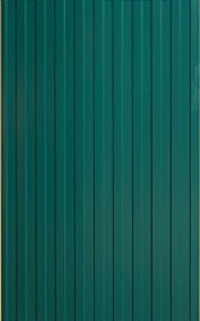 Профнастил С-21 2,0 х 1,05 м (RAL-6005 зеленый) 