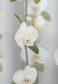 Обои 17605 Е орхидея флиз 1,06*10 сер 