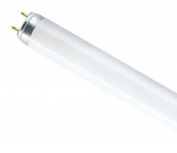 Лампа линейная люминисцентная ЛЛ36 вт L 36/640 G13 белая 