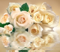 Фотообои 083 Белые розы 294 х 260 