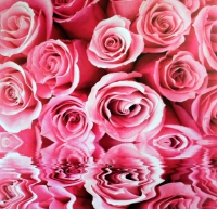 Фотообои 235 Розовые розы 196 х 201 