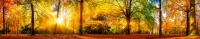 Кухонный фартук на стену Осень в лесу 600 х 3000 мм в Орехово-Зуево купить за 2015 руб  в интернет-магазине стройматериалов СтройДвор на Карболите 