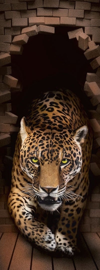 Фотообои Леопард 98 х 260 