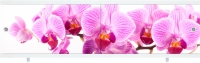 Экран для ванной Дикая орхидея 1,48 