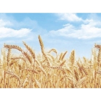 Интерьерная панель Пшеница 600 х 3000 мм 