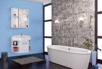 Шкаф-зеркало для ванной РОДОС 75.00 в Орехово-Зуево купить за 5200 руб  в интернет-магазине стройматериалов СтройДвор на Карболите 