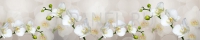 Кухонный фартук на стену Белые орхидеи на бежевом фоне 600 х 3000 мм в Орехово-Зуево купить за 1350 руб  в интернет-магазине стройматериалов СтройДвор на Карболите 
