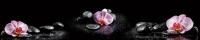 Кухонный фартук на стену Орхидеи на черном (№188) 600 х 3000 мм в Орехово-Зуево купить за 1750 руб  в интернет-магазине стройматериалов СтройДвор на Карболите 