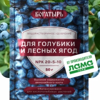 БОГАТЫРЬ Удобрение для ГОЛУБИКИ и ЛЕСНЫХ ЯГОД 50 г в Орехово-Зуево